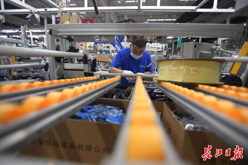 偉巴斯特武漢工廠提前投產，區域外資工業集聚效應凸顯